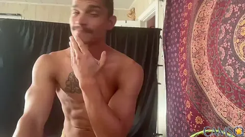 Picture of wolfblazer5 from Stripchat