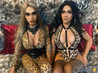 AmelieCarolAnneTSDuo’s XloveCam Profile Image